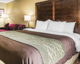 Comfort Inn & Suites Artesia