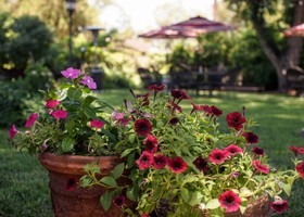 Fiddler's Inn Bed & Breakfast