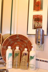 Chocolate Turtle Bed and Breakfast