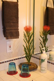 Chocolate Turtle Bed and Breakfast