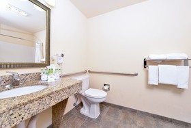 Holiday Inn Express & Suites Farmington Bloomfield
