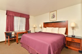 Best Western Executive Inn