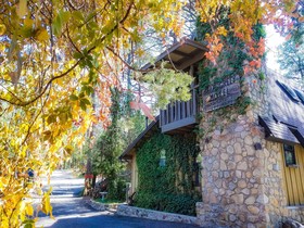 Bear Creek Motel And Cabins
