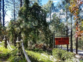 Bear Creek Motel And Cabins