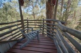 Bear Creek Motel And Cabins