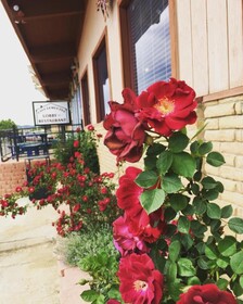 Howard Johnson by Wyndham Raton