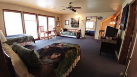 Birds And Bears Retreat