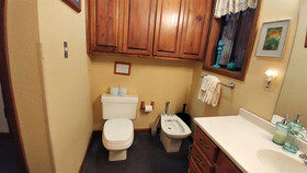 Birds And Bears Retreat