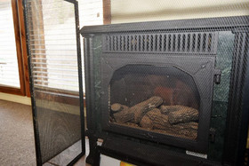 Birds And Bears Retreat