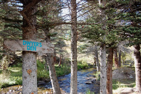 Dwyer`s Den