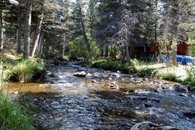 Dwyer`s Den