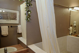 Rocky Mountain Roost