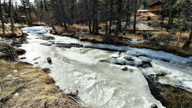 Whispering Pines