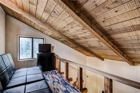 A Climbing Cub Cabin