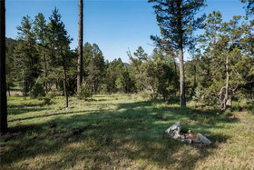 Amy's Little Ponderosa