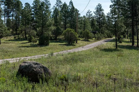 Amy's Little Ponderosa