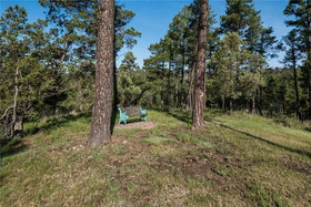 Amy's Little Ponderosa