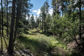 A River Runs Through It