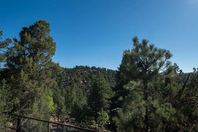 Aviator by RedAwning