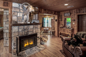 Bear Country Cabin