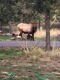 The Lodge At The Lazy Bear Retreat
