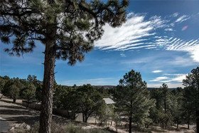 White Mountain Paradise