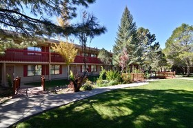 Best Western Pine Springs Inn
