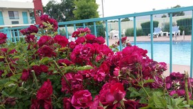 Days Inn by Wyndham Santa Fe New Mexico