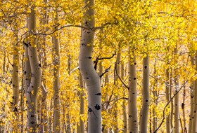 Dorthia Garden Retreat and Views