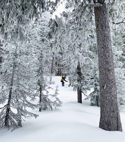 Inn of the Governors