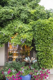 Inn of the Governors