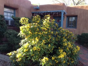 Pueblo Bonito B&B Inn