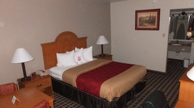 Econo Lodge Inn & Suites Socorro