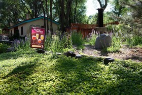 Dreamcatcher Bed and Breakfast