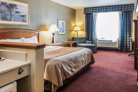 Comfort Inn & Suites I-25 Near Spaceport America