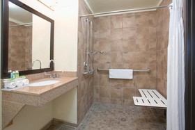 Holiday Inn Express Hotel & Suites Truth