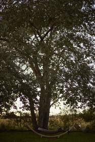 The Roundtree, Amagansett