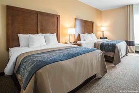 Comfort Inn Apalachin