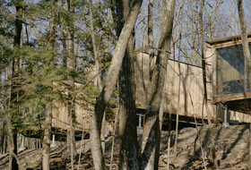 Piaule Catskill