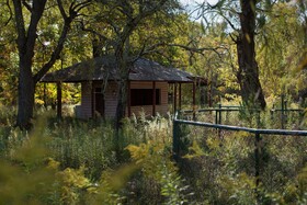 The Long Neck Inn