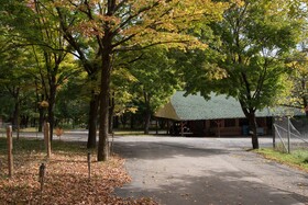 The Long Neck Inn