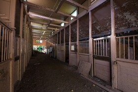 The Long Neck Inn