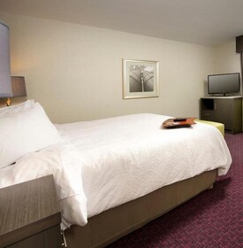 Hampton Inn & Suites Buffalo Airport