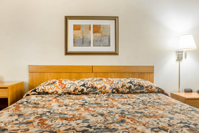 Econo Lodge Darien Lakes