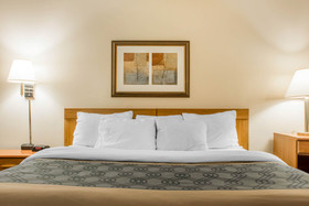 Econo Lodge Darien Lakes
