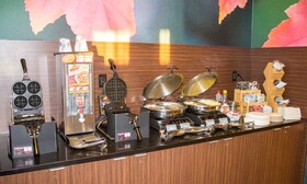 Fairfield Inn & Suites Geneva Finger Lakes