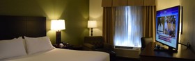 Holiday Inn Express & Suites Geneva Finger Lakes