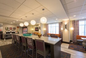 Hampton Inn Buffalo-Hamburg