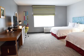 Hampton Inn Buffalo-Hamburg