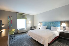 Hampton Inn Buffalo-Hamburg